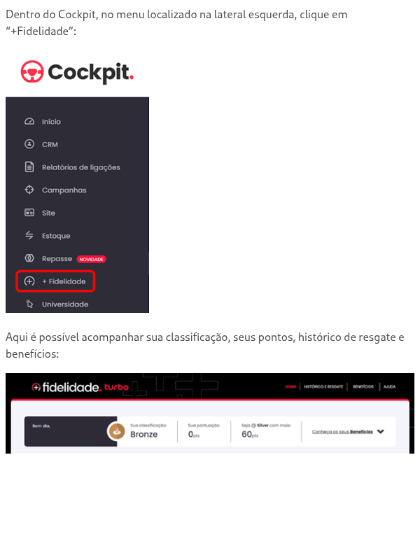 Como consultar os pontos?